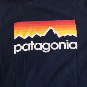 Patagonia baby blue long sleeve T-shirt